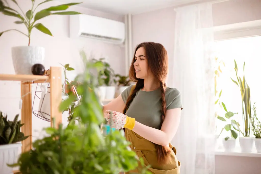 Indoor Air Quality
